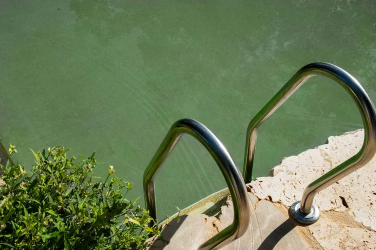 Озерна мембрана Natural Pools, Eco green 7219 зелена, армована 1.5 мм, 1.65мх25м — фото 4