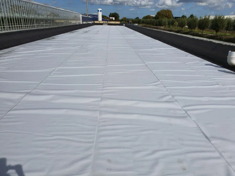 VapourGuard™ technological cover 540 µm with GeoBubble™ bubbles, in rolls — photo 3
