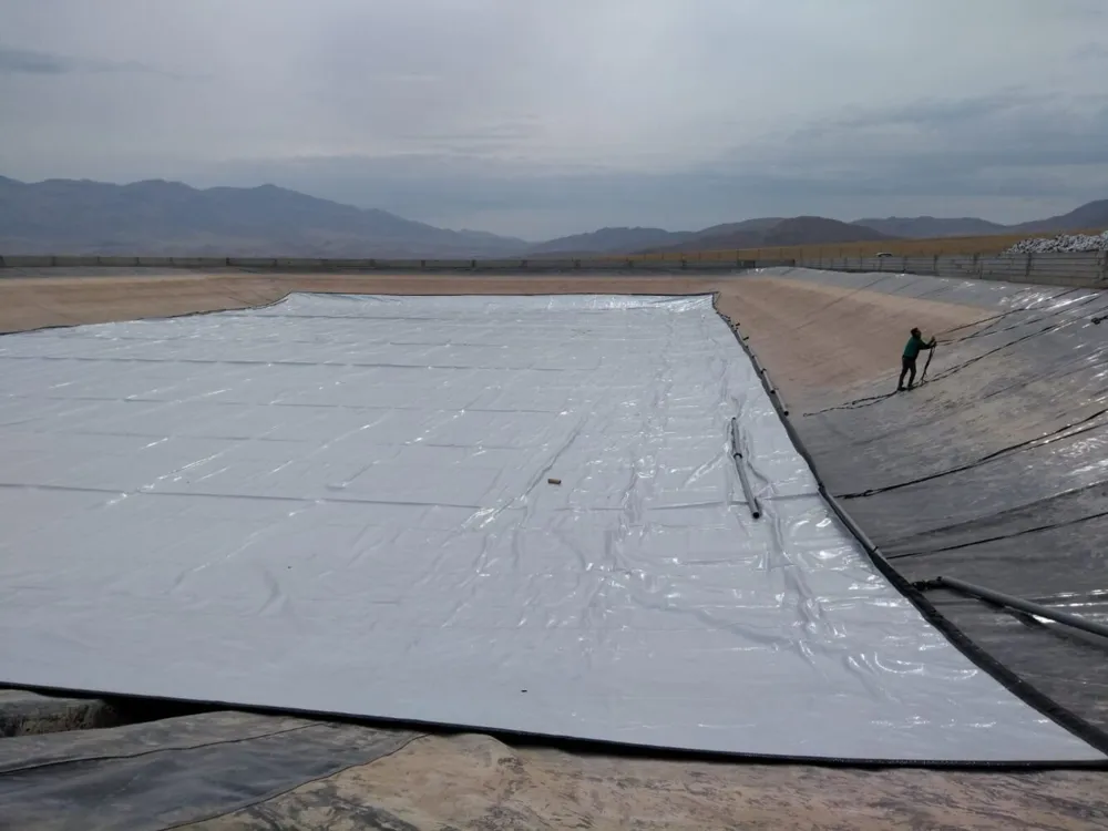 VapourGuard™ technological cover 540 µm with GeoBubble™ bubbles, in rolls — photo 4
