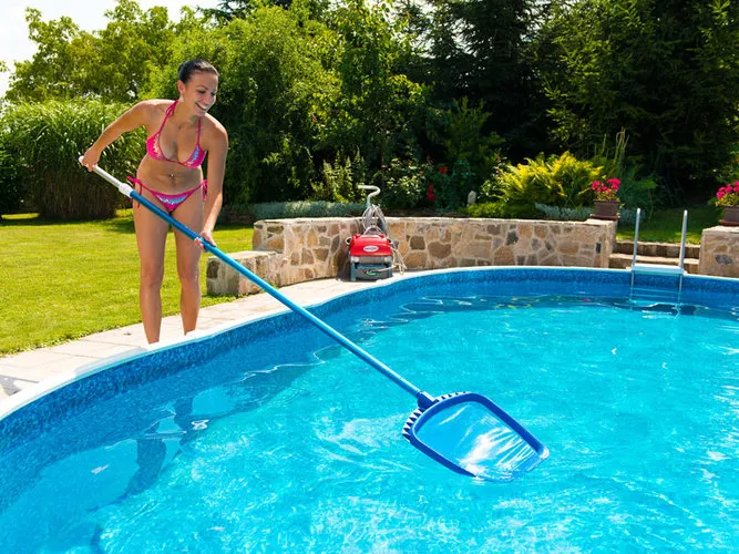 Mountfield plastic surface leaf skimmer — photo 2